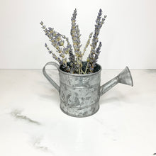 Load image into Gallery viewer, Silver Daisy - Mini Watering Can
